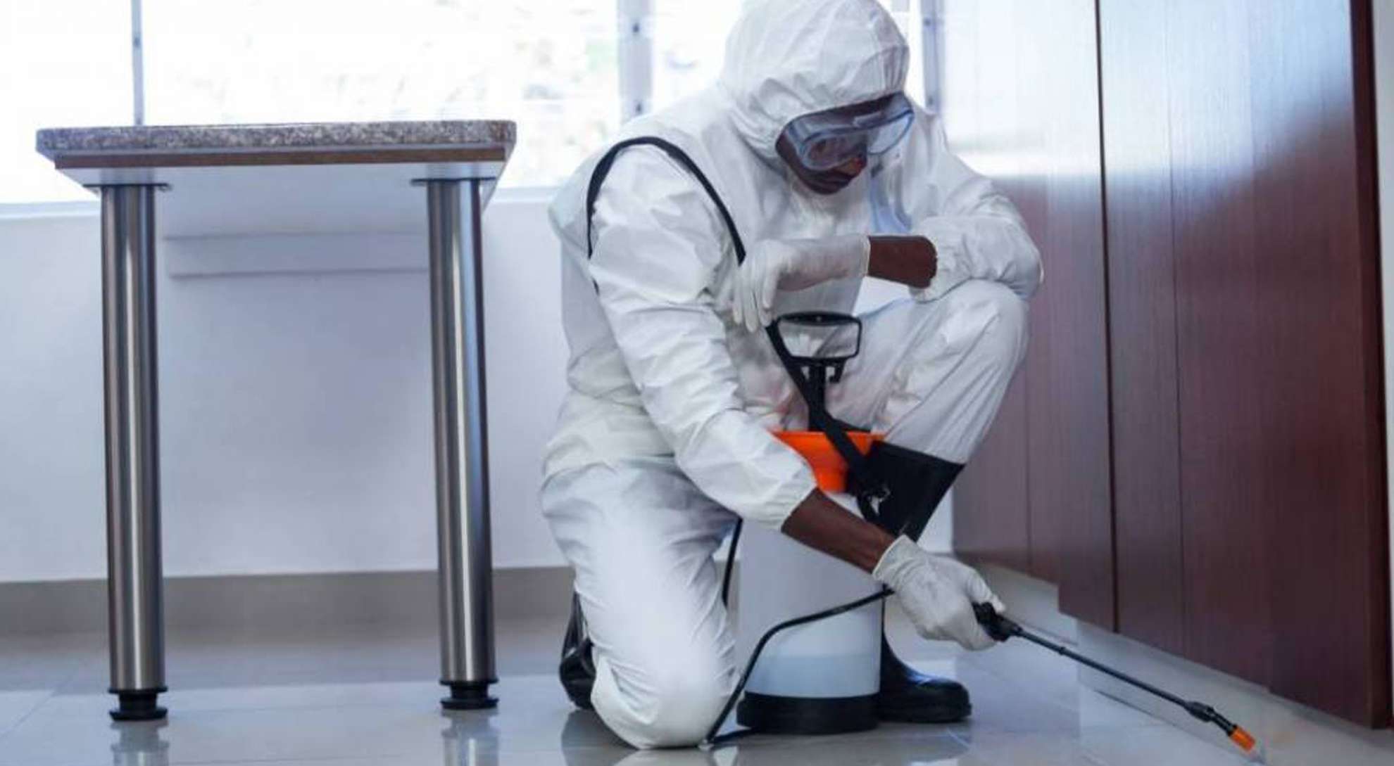 pest control expert providing extermination services in a clean commercial building